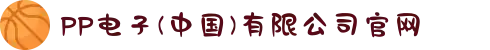 PP电子(中国)有限公司官网